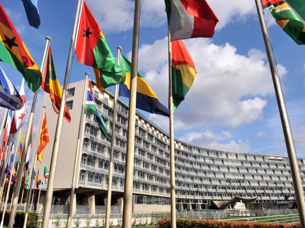 Эмблема ЮНЕСКО на прозрачном фоне