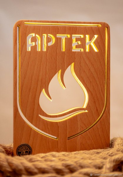 Логотип артековцы