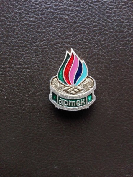 Артек полевой значок