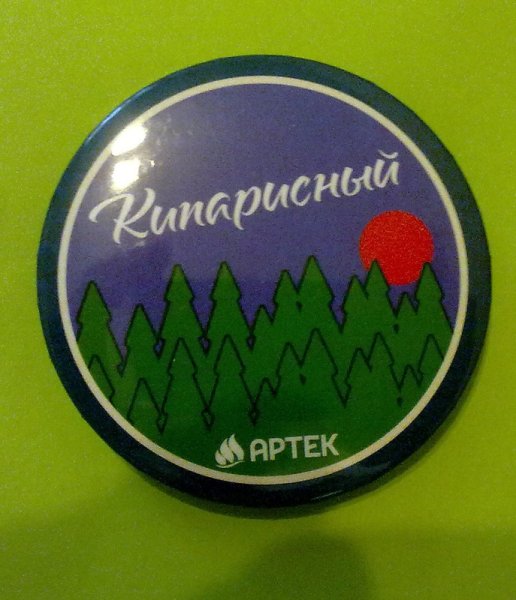 Магнит Артек