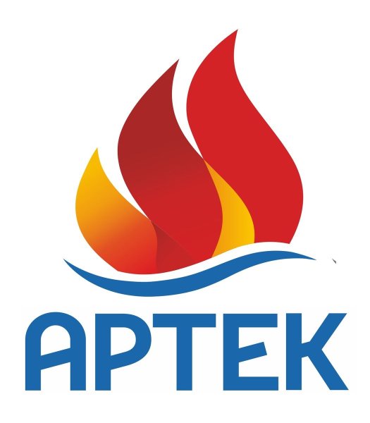 Артек значок