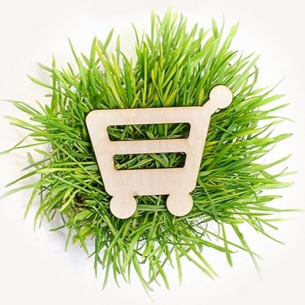 Экологичные товары