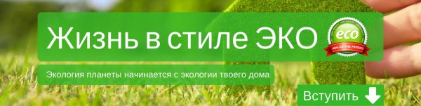 Жизнь в стиле эко картинки
