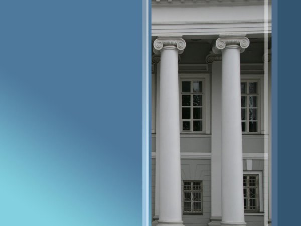 Презентация института