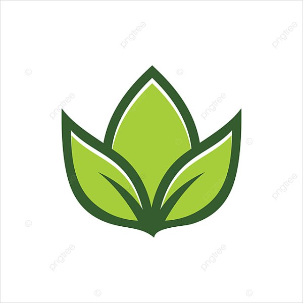 Minimalist Lotus logo