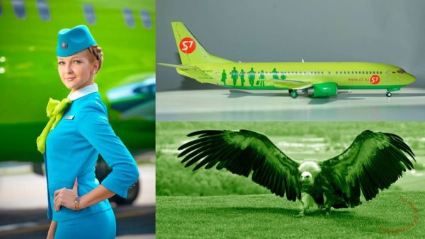 Самолет s7 реклама