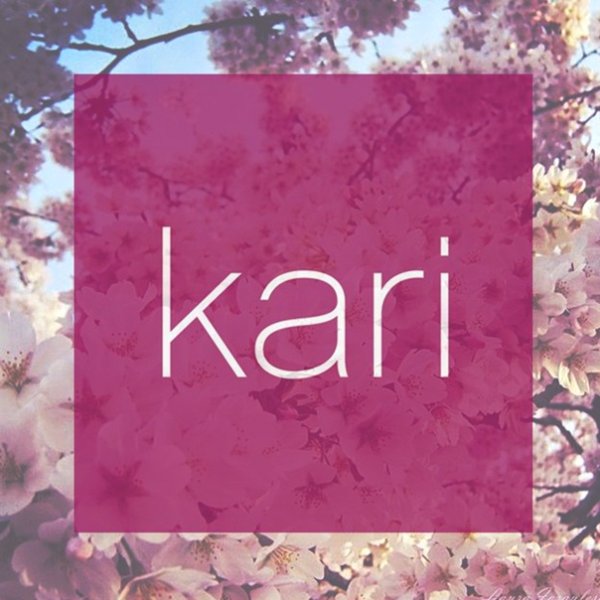 Kari лого