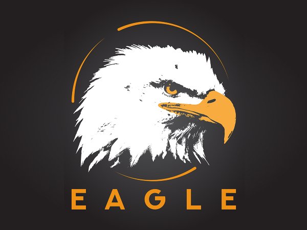 Глаз орла логотип