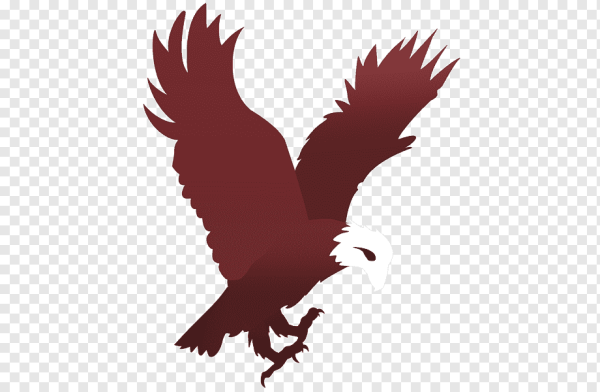 Логотип орла для фотошопа