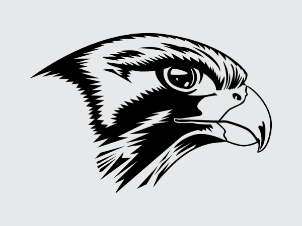 Сокол символ