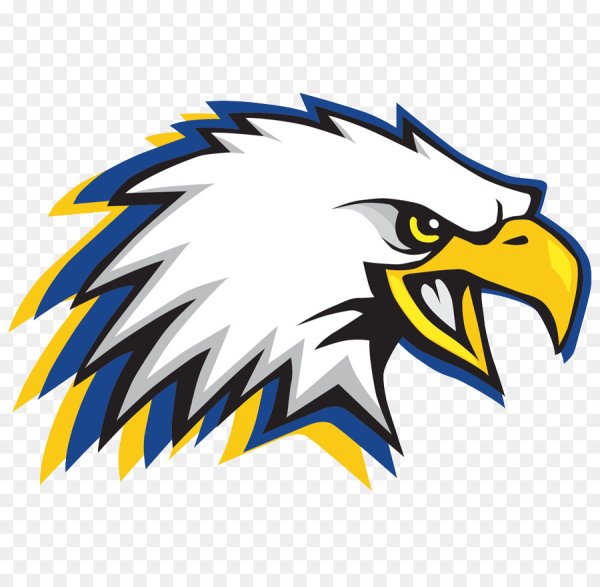 Команда Орлы