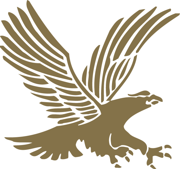 Изображение орла для эмблемы
