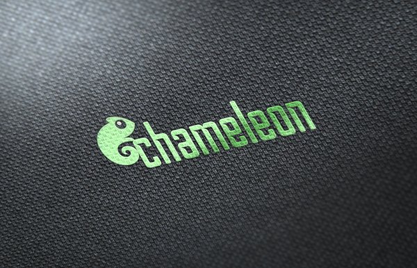 Логотип дизайнера