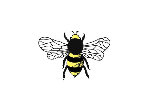 Логотип пчелы хоккей