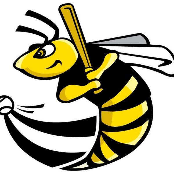 Медоносная пчела эмблема