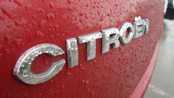 Снимки лого