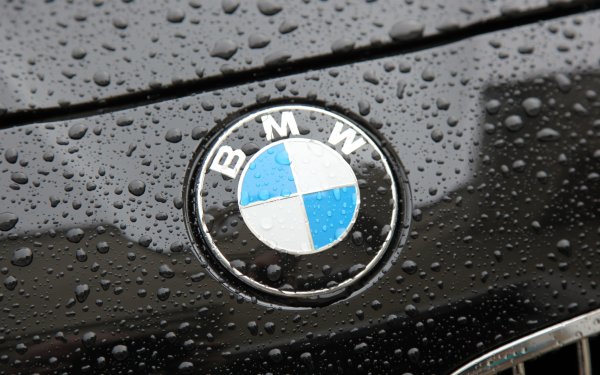 BMW logo 750