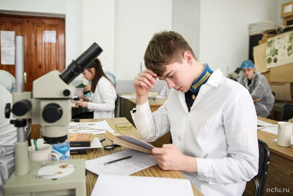 Олимпиада школьников логотип