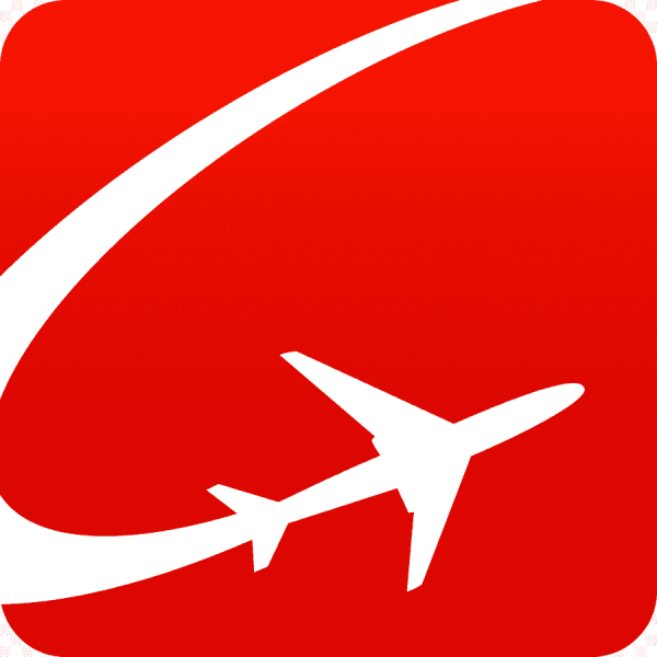 Самолетик значок