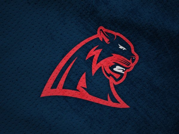 ЭПИЧНЫЕ логотипы