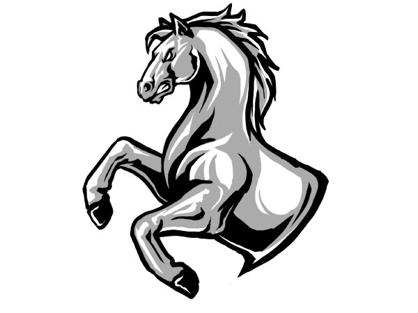 Мустанг орнамент