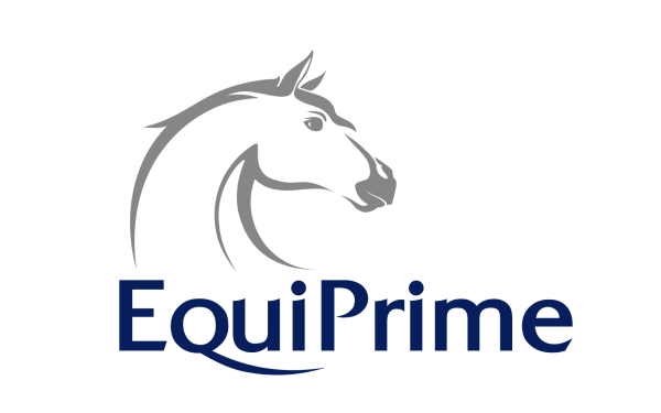 Белая металлическая лошадь