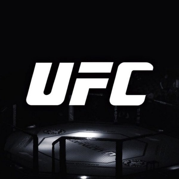 UFC надпись