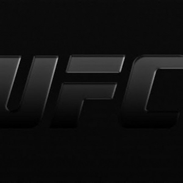 UFC надпись