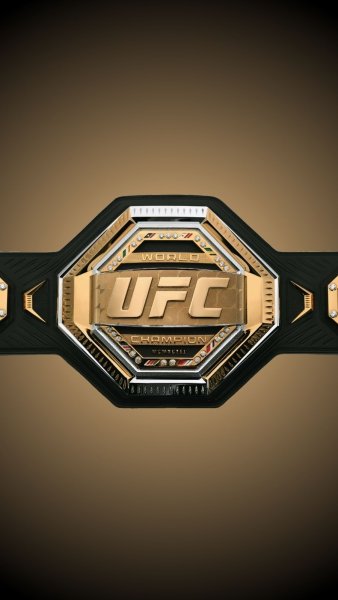 UFC Ultimate Fighting Championship