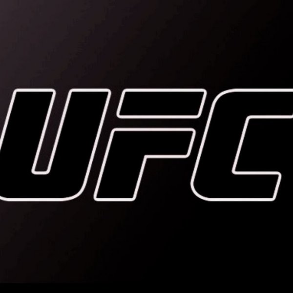 UFC надпись