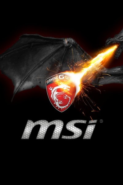 MSI заставка