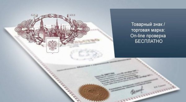 Регистрация торговой марки