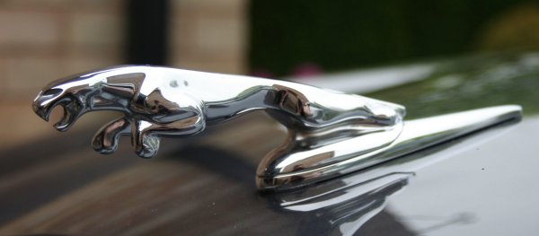 Дизайнерские визитки