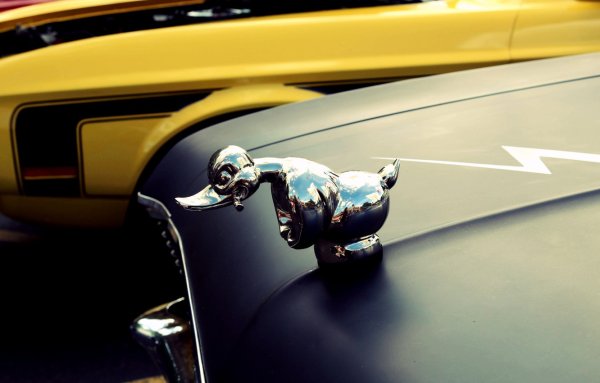 Автомобиль с крыльями на капоте