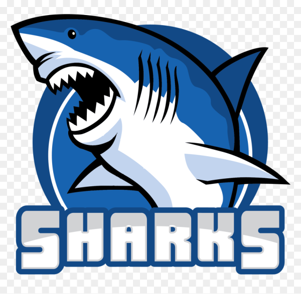 Акула красивый логотип