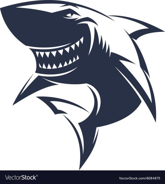 Акула в иллюстраторе