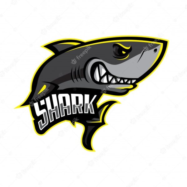 Shark надпись