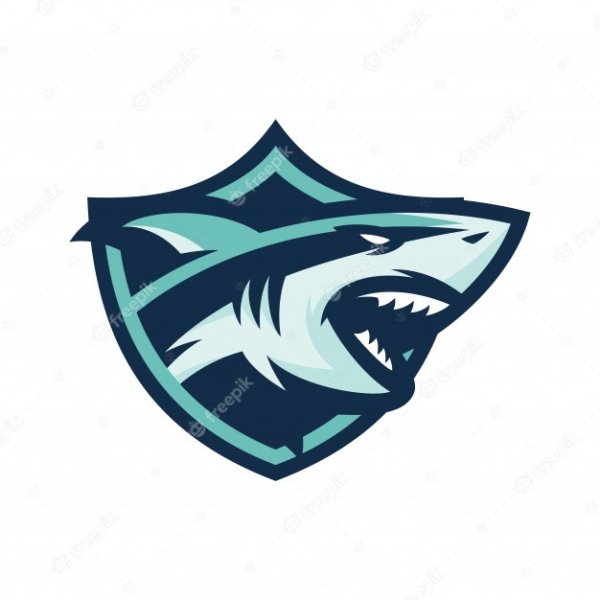 Акула красивый логотип