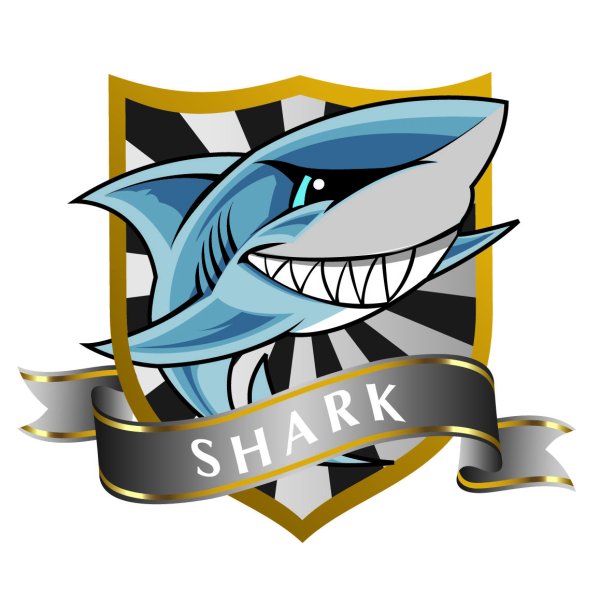 Команда акулы