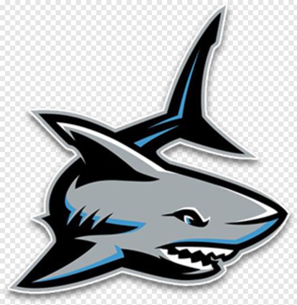 Акула логотип