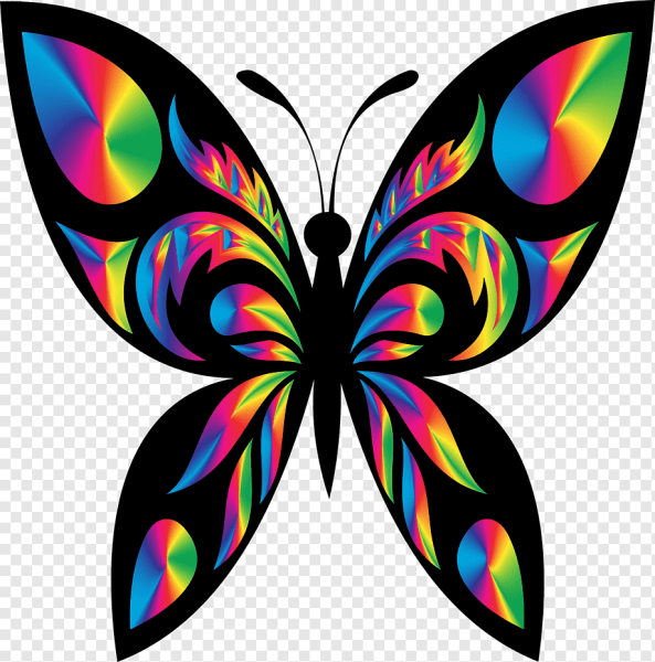 Бабочки цветные логотип