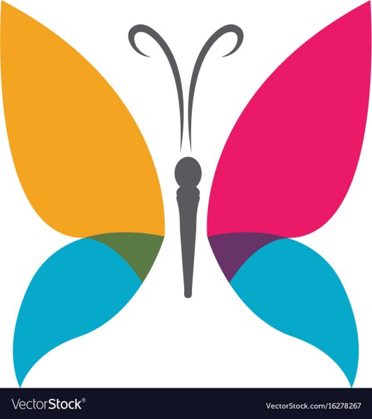 Логотип синяя бабочка