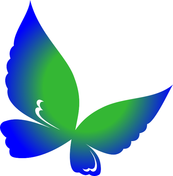 Красивая бабочка для логотипа