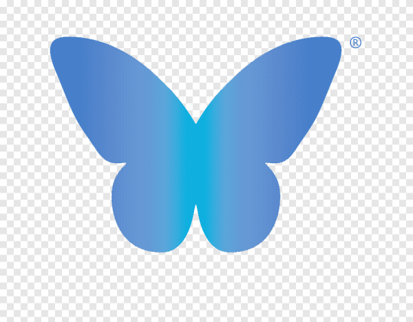 Бабочка иконка вектор