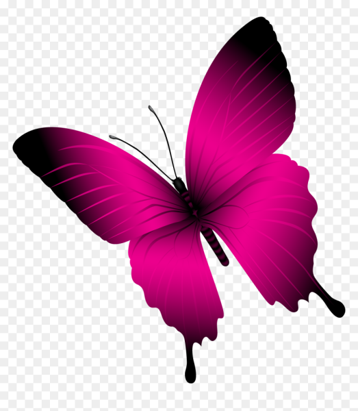 Значок символ бабочки