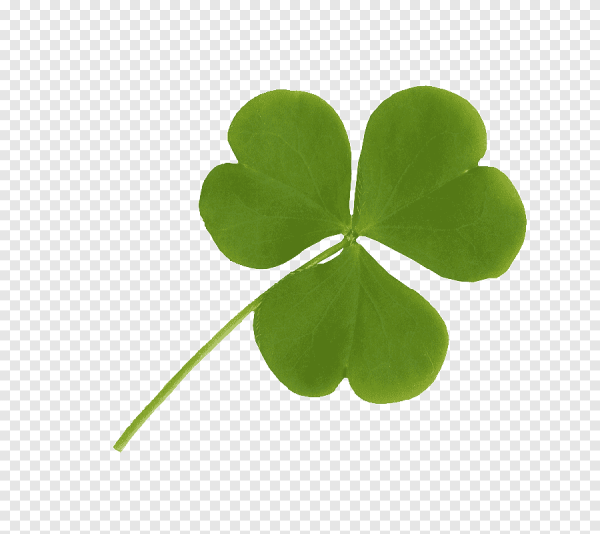 Логотип Клевер четырехлистный