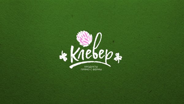 Трехлистный Клевер символ удачи