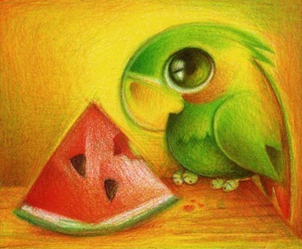 Животные рисунки