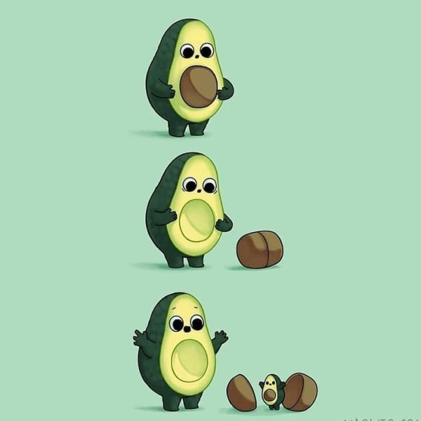 Веселый авокадо
