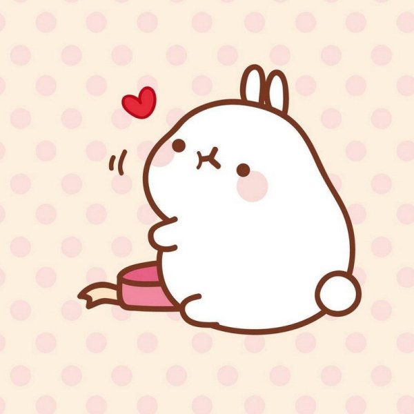 толстенький зайка